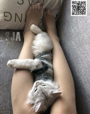 韩国h动漫_BD韩语在线视频观看
